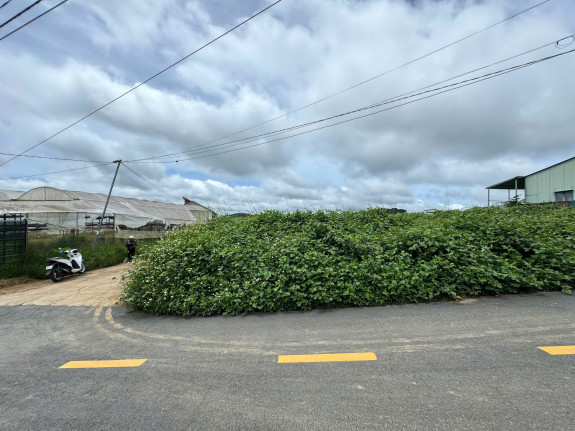 hình ảnh sản phẩm 404