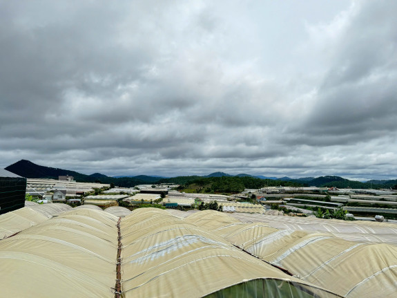 hình ảnh sản phẩm 404