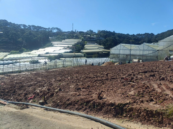 hình ảnh sản phẩm 404