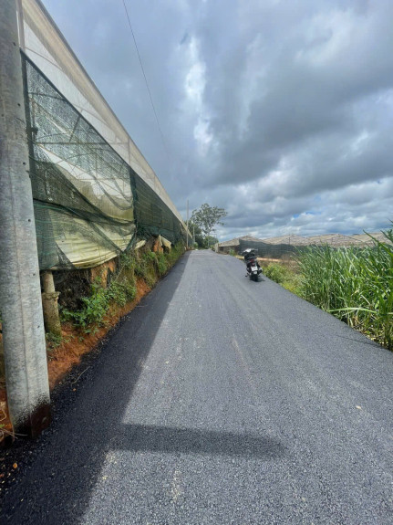 hình ảnh sản phẩm 404