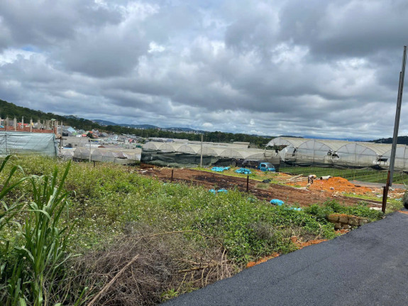 hình ảnh sản phẩm 404