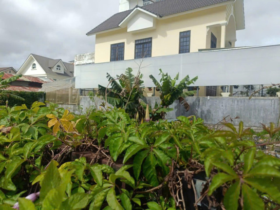 hình ảnh sản phẩm 404