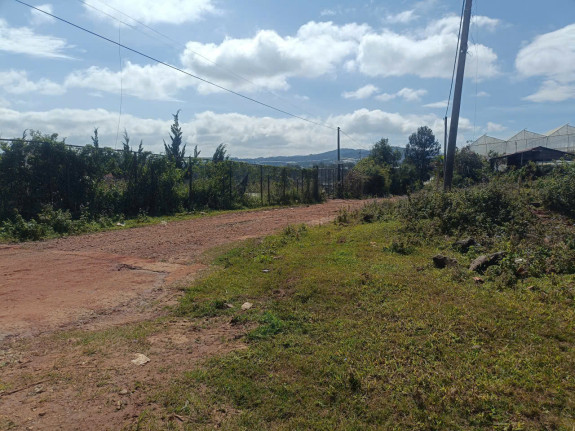 hình ảnh sản phẩm 404