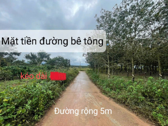hình ảnh sản phẩm 404