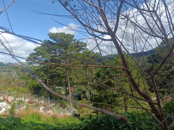 hình ảnh sản phẩm 404