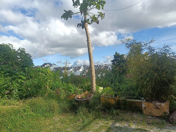 hình ảnh sản phẩm 404