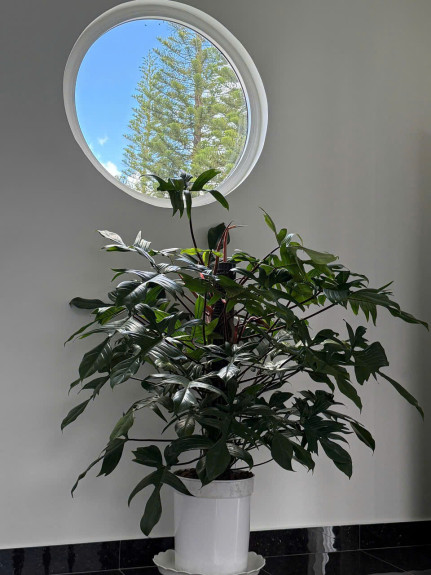 hình ảnh sản phẩm 404