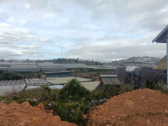 hình ảnh sản phẩm 404