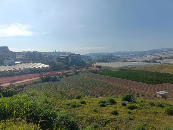 hình ảnh sản phẩm 404