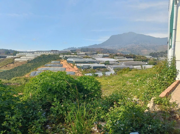 hình ảnh sản phẩm 404