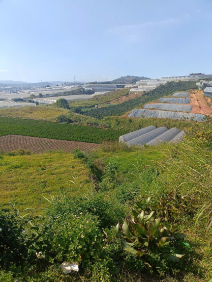 hình ảnh sản phẩm 404