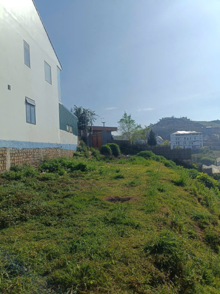 hình ảnh sản phẩm 404