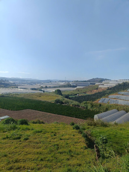 hình ảnh sản phẩm 404