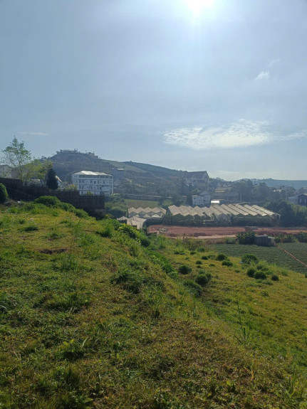 hình ảnh sản phẩm 404