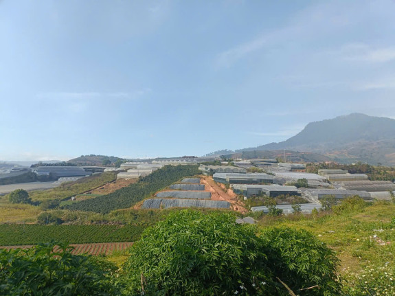 hình ảnh sản phẩm 404