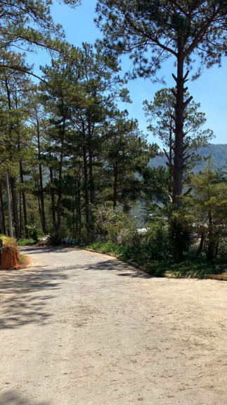 hình ảnh sản phẩm 404