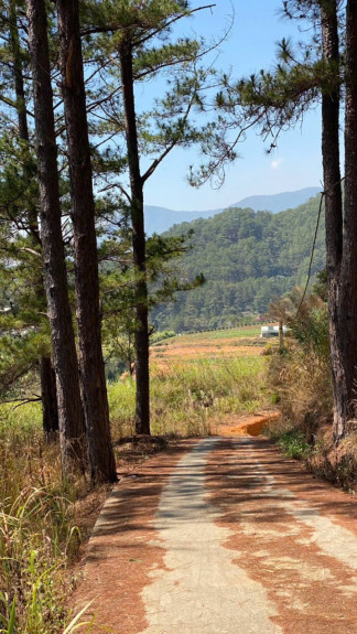 hình ảnh sản phẩm 404