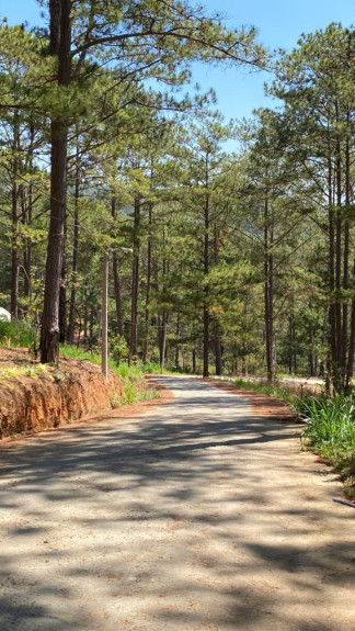 hình ảnh sản phẩm 404