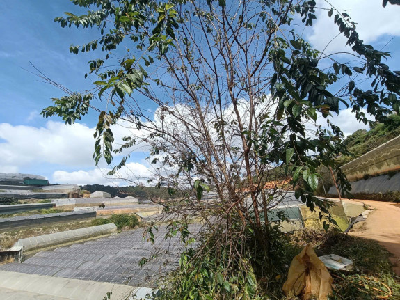 hình ảnh sản phẩm 404