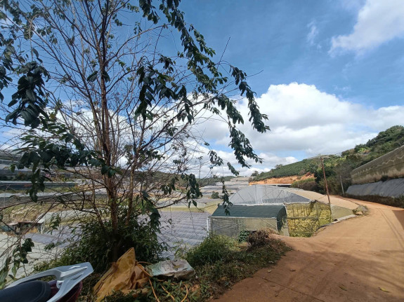 hình ảnh sản phẩm 404