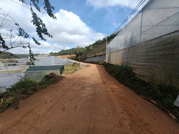 hình ảnh sản phẩm 404