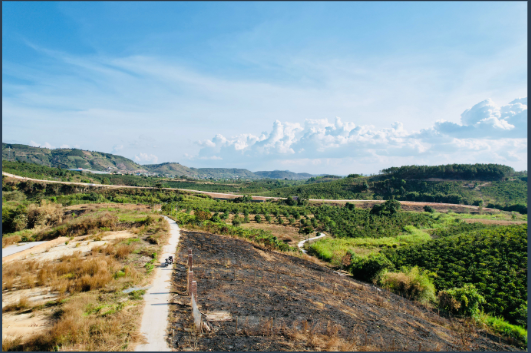 hình ảnh sản phẩm 404