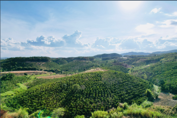 hình ảnh sản phẩm 404