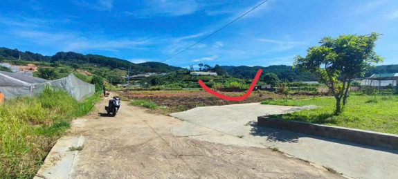 hình ảnh sản phẩm 404