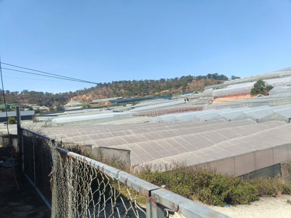 hình ảnh sản phẩm 404