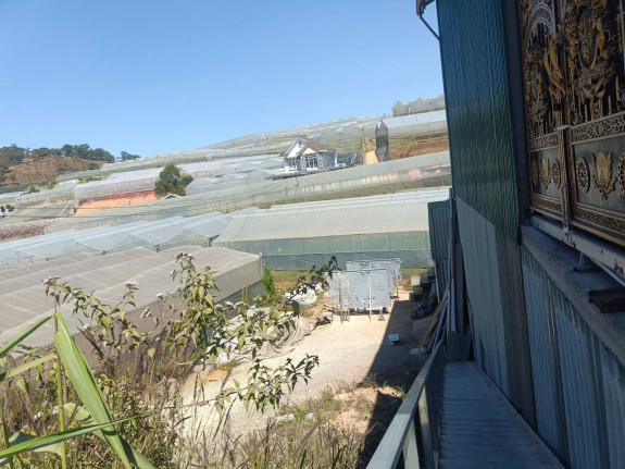 hình ảnh sản phẩm 404