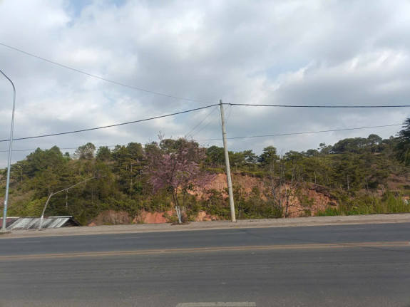 hình ảnh sản phẩm 404