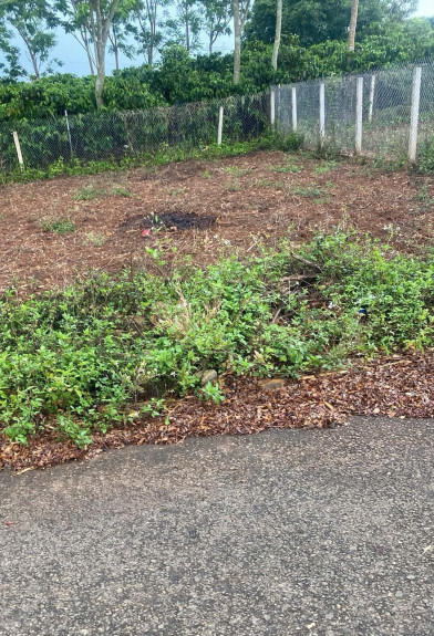 hình ảnh sản phẩm 404