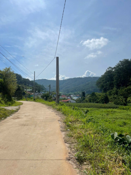 hình ảnh sản phẩm 404