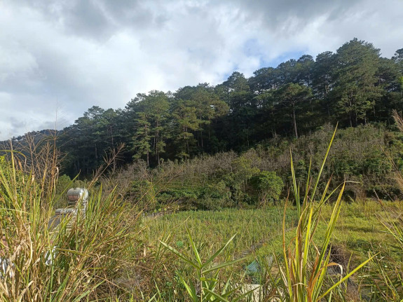 hình ảnh sản phẩm 404