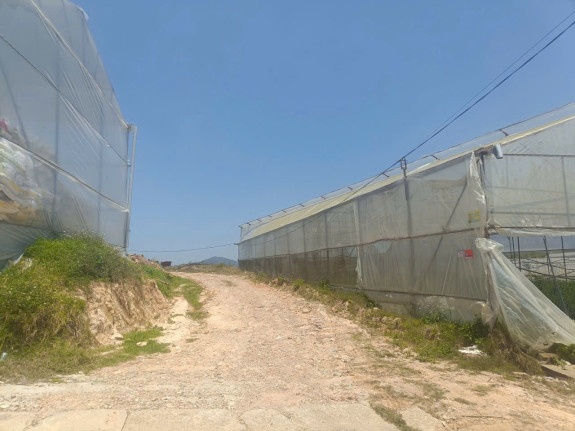 hình ảnh sản phẩm 404