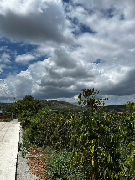 hình ảnh sản phẩm 404