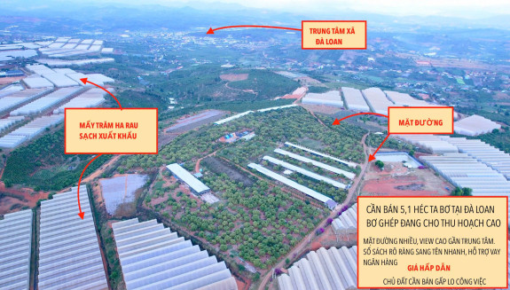 hình ảnh sản phẩm 404