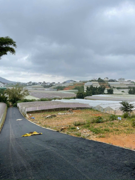 hình ảnh sản phẩm 404