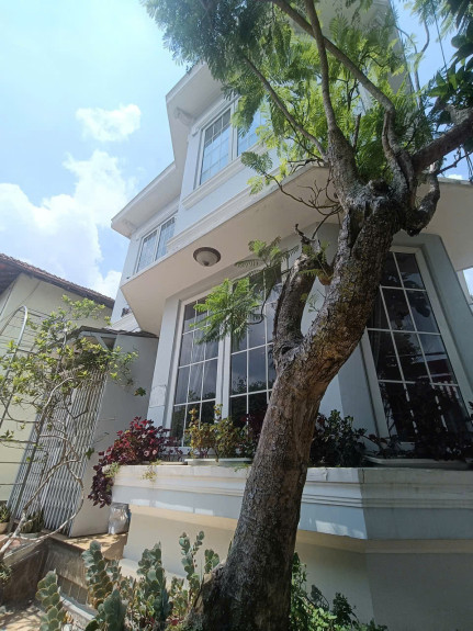 hình ảnh sản phẩm 404