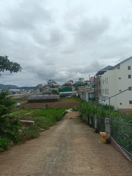 hình ảnh sản phẩm 404