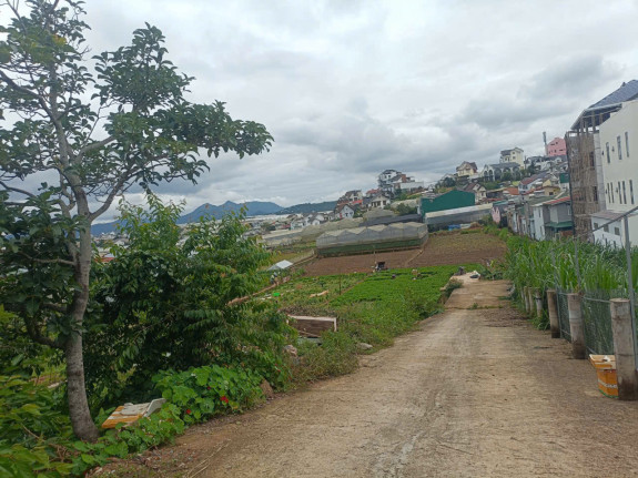 hình ảnh sản phẩm 404