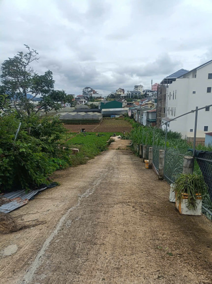 hình ảnh sản phẩm 404