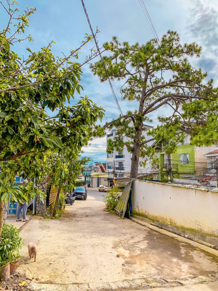 hình ảnh sản phẩm 404