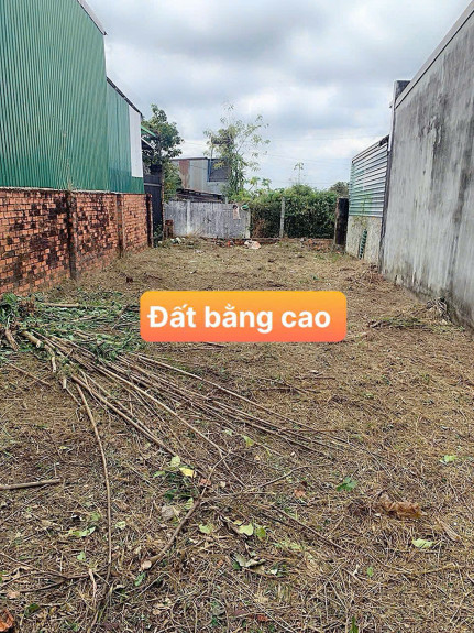 404