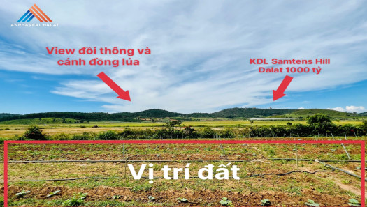 Chính chủ bán 3,8 sào gần chùa Ấn Độ 1000 tỷ xã Tu Tra, sổ riêng