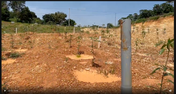 Bán Đất Nam Hà, Gần Trục Đường Nhựa, 425m2 view đẹp