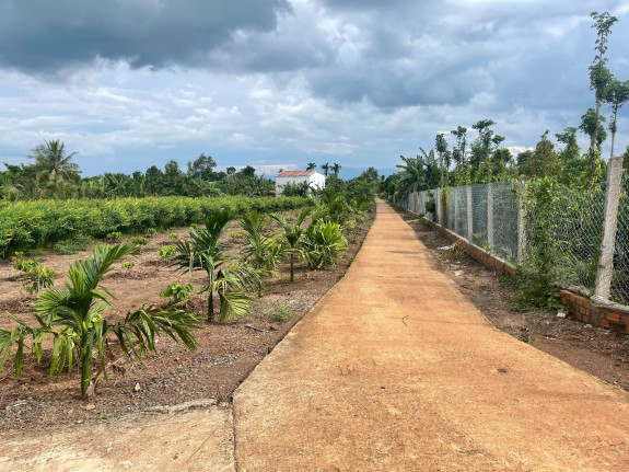 Bán Đất Krông Pắk Giá Rẻ, Sẵn Thổ Cư Gần Quốc Lộ, Khu Dân Cư Đầy Đủ Tiện Ích