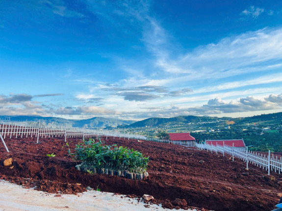 Bán đất ven Đà Lạt giá tốt tại Thị Trấn Nam Ban - Cơ hội đầu tư sinh lời cao