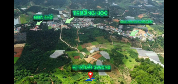 Bán Đất Nông Nghiệp Xuân Trường, Đà Lạt – View Rừng Thông Yên Tĩnh, Giá F0 Chỉ 3,2 Tỷ