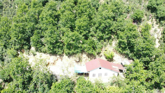 Bán Đất Nông Nghiệp Tại Trạm Hành, Đà Lạt – 24 Sổ Riêng, Tổng Diện Tích 24.000m²